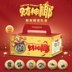 Fortune Coconut · CNY Limited Gift Box
