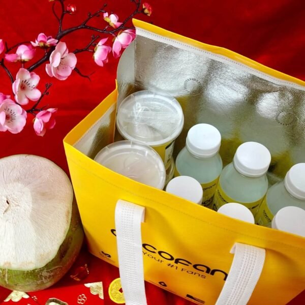 CNY Coconut Refresh Set