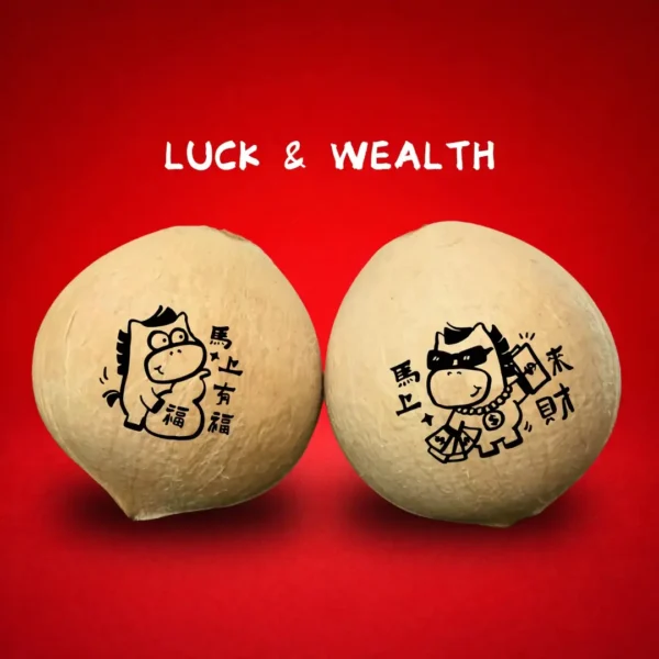 Fortune Coconut Party Pack